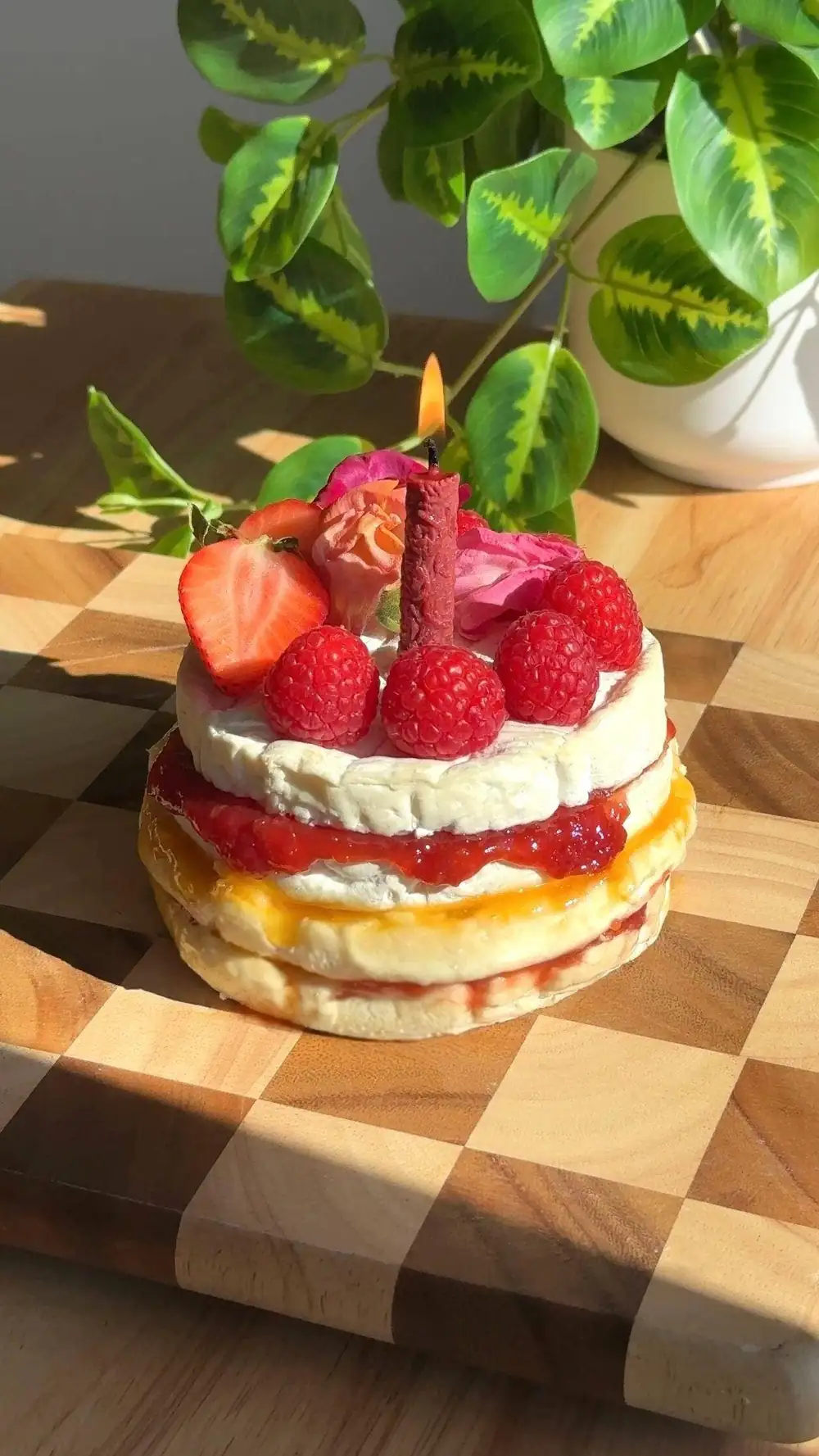 Layered Brie “Cheesecake” Appetizer