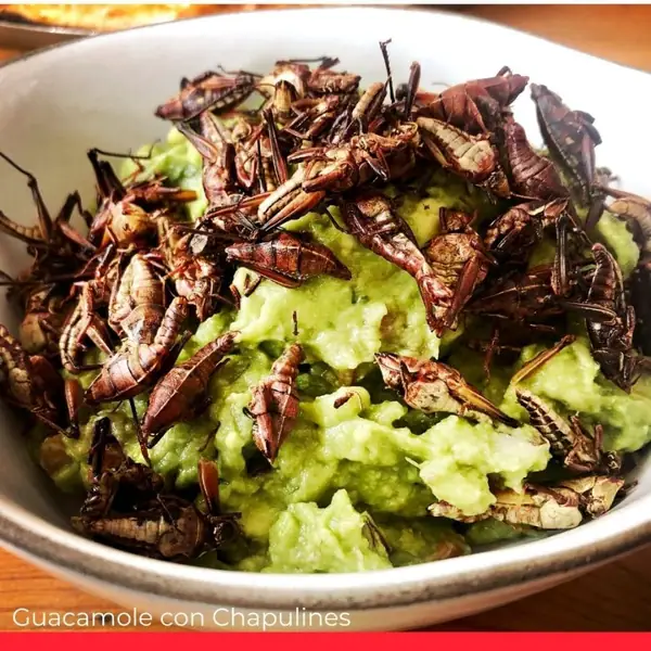 Guacamole con Chapulines (Guacamole with Grasshoppers)