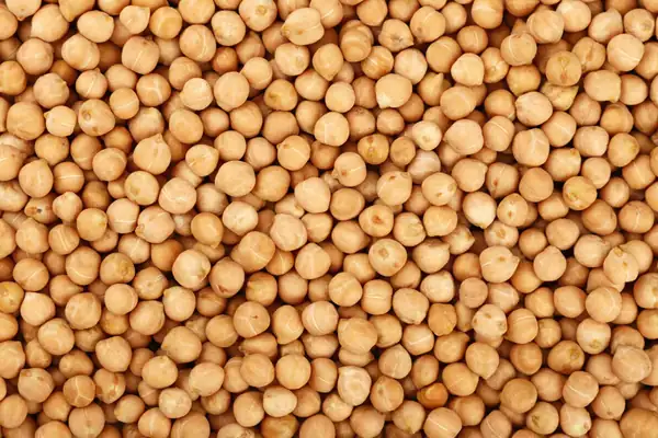 The BeanMan Study in Finland Examines Effects on Male Health of Legume Protein Compared to Meat
