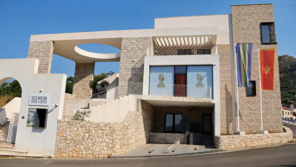 Quality Push Redefines Olive Oil Production in Montenegro