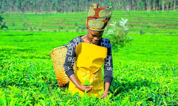 These Stories Prove How Inspiring Women Are Leading Food System Transformation