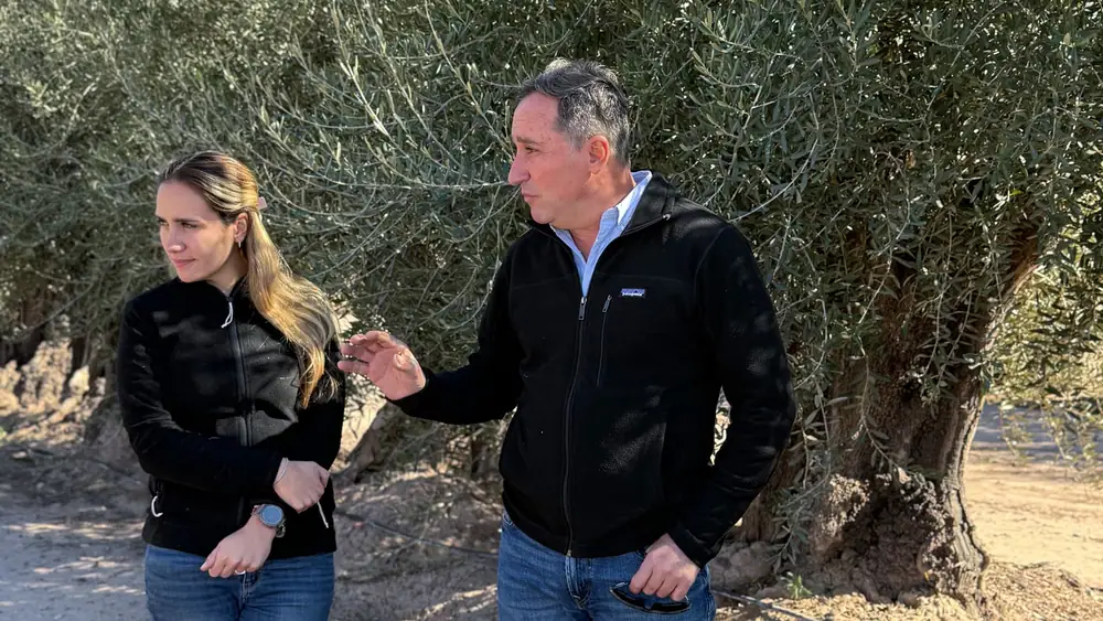 A Sanctuary for Mendoza’s Ancient Olive Trees