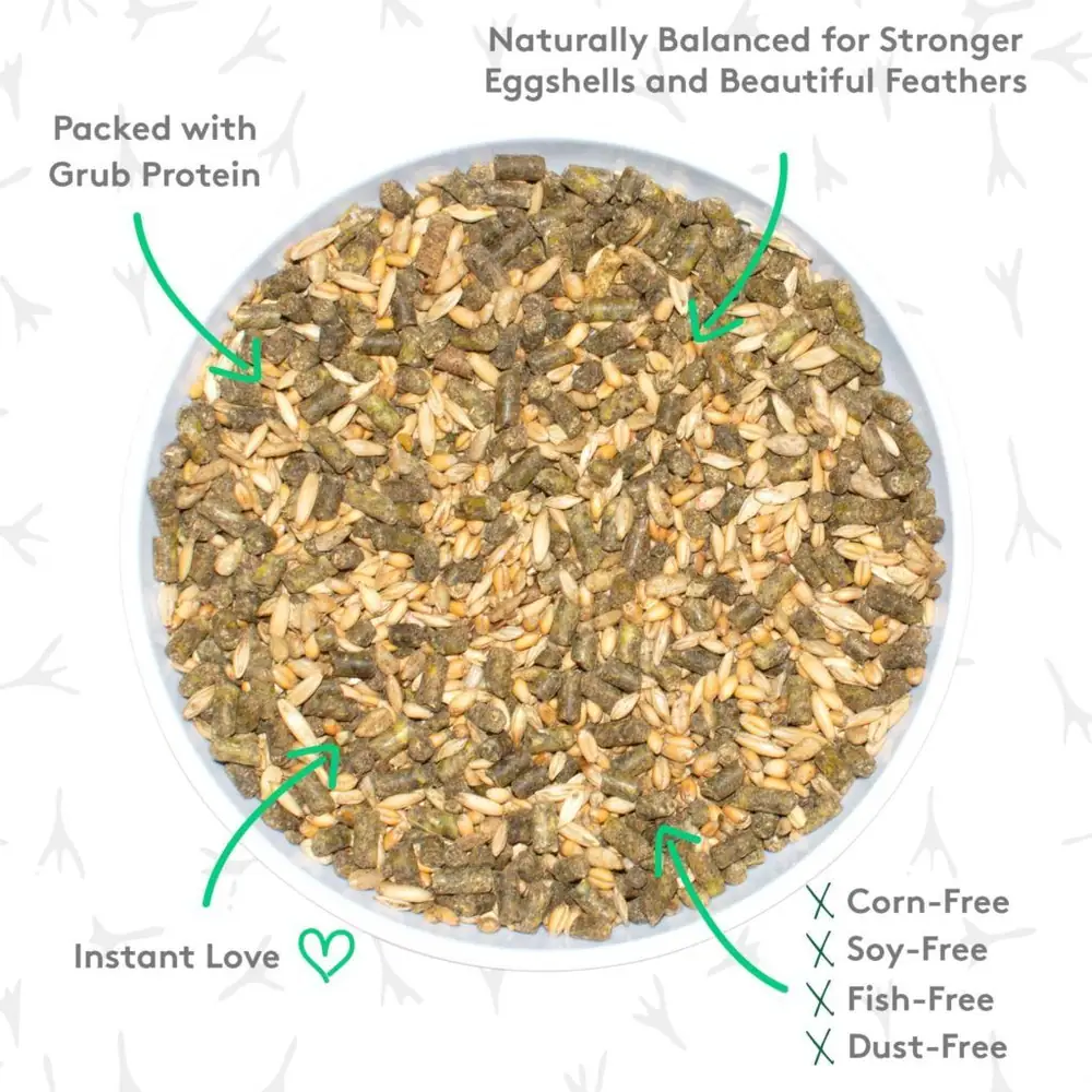 Backyard black soldier flies: Grubbly grabs up $2.9m seed round led by Overline