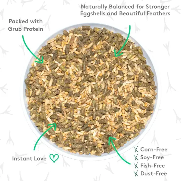 Backyard black soldier flies: Grubbly grabs up $2.9m seed round led by Overline