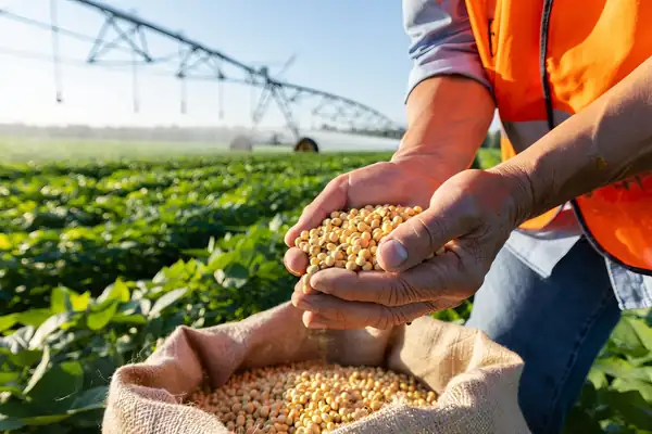 Una investigación financiada por la UE explora alternativas proteicas sostenibles para la agricultura europea