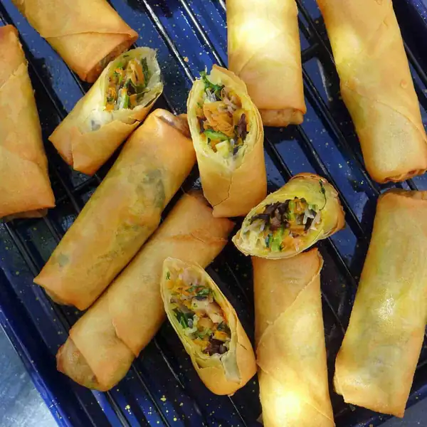 Veggie and Tofu Spring Rolls