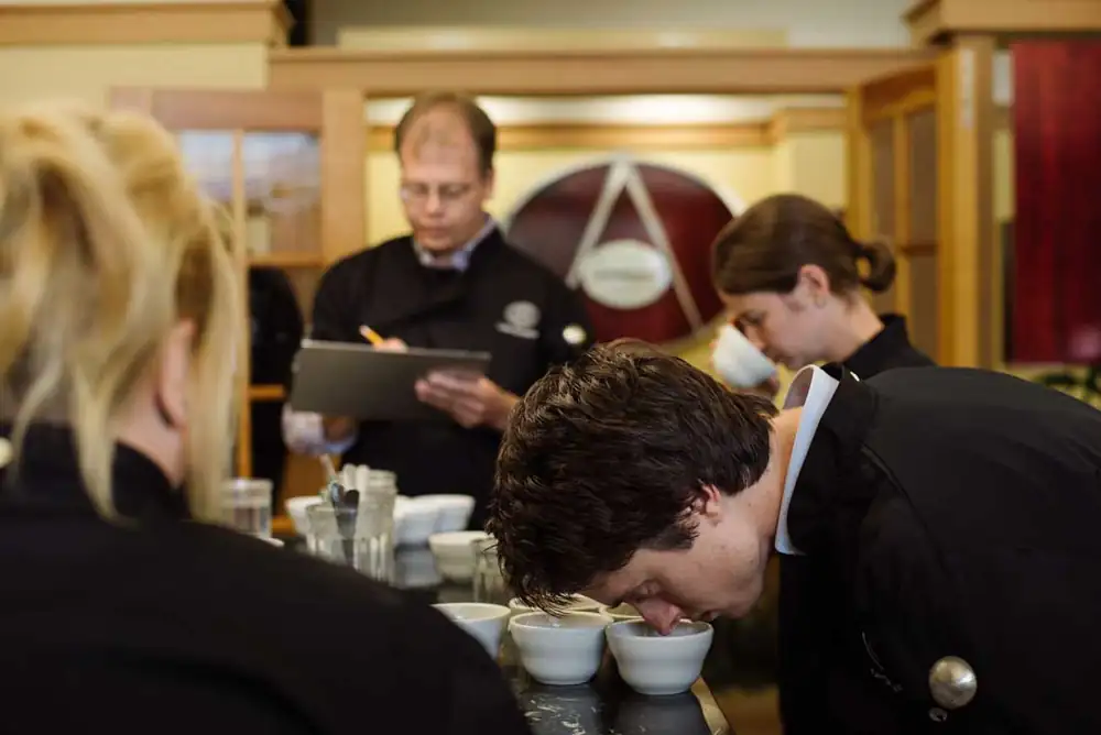 Cupping vs tasting coffee as a professional — the human factor