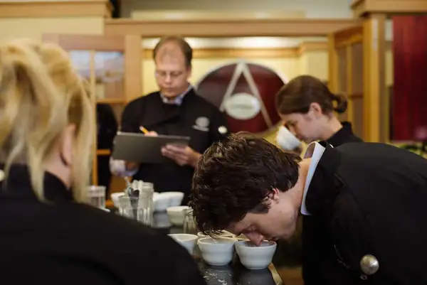 Cupping vs tasting coffee as a professional — the human factor