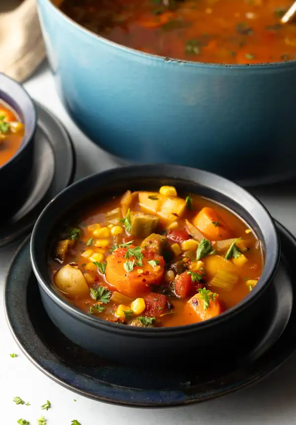 Rustic Homemade Vegetable Stew Recipe + VIDEO
