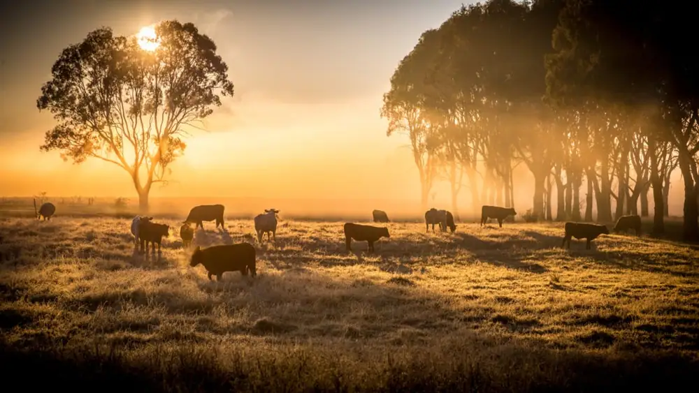 Dr. Richard Teague: Prácticas orgánicas regenerativas: “Sanear la agricultura”