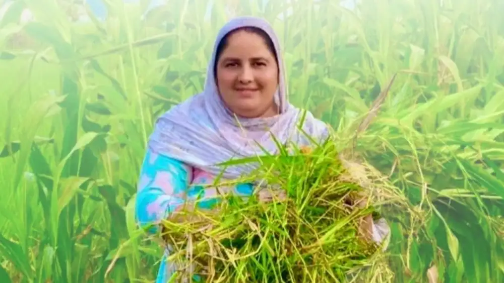 De media hectárea a 40: Cómo una mujer de Moga convirtió las burlas en una empresa agrícola de 80 lakh de rupias
