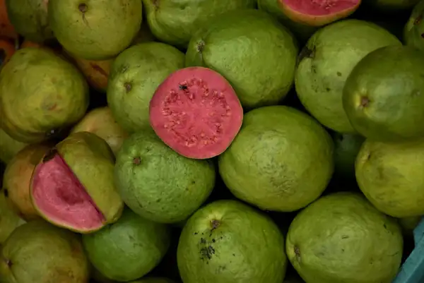 Guava: the fruit that is also used as a mosquito repellent