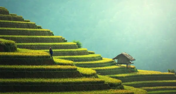 China is Ready for an Agri-Food Revolution