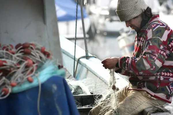 The Small but Growing Seafood Traceability Startup Scene