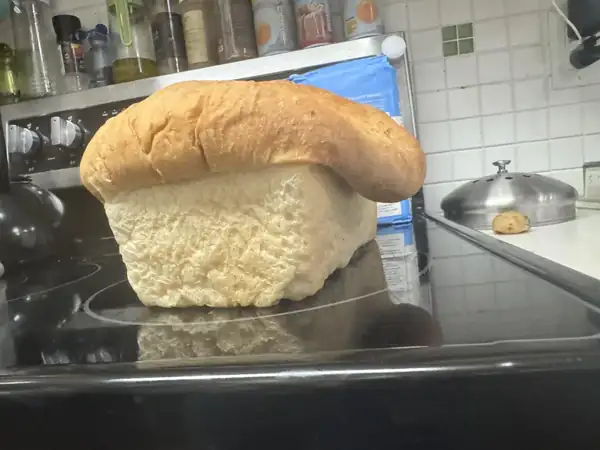 Consejos para un pan que se desborda/no sube tanto como debería