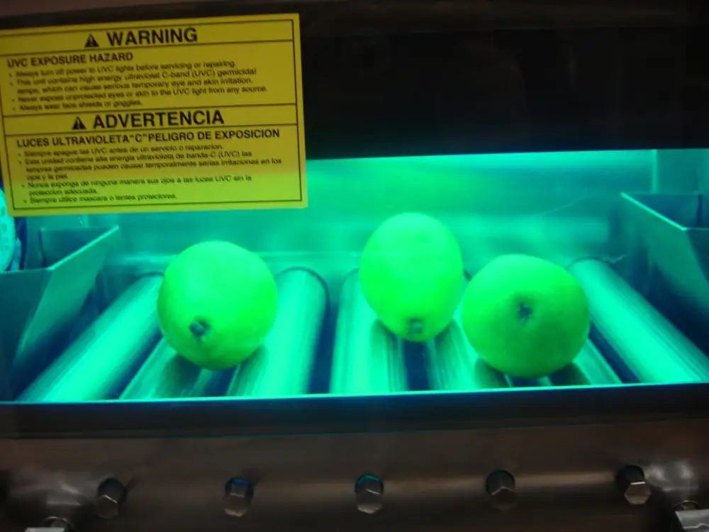 Washington Researchers Shed Light on a Solution to Organic Produce Sanitization