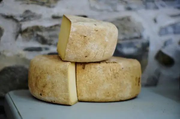 In search of forgotten and endangered foods