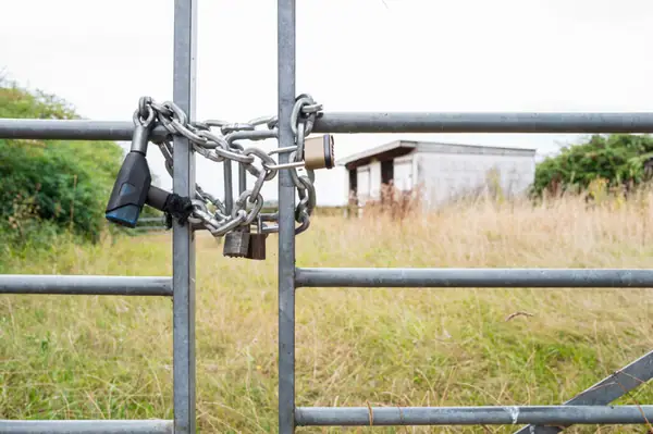 Ransomware attacks on food and ag expected to rise, possible ‘cascading impacts’ on the trade