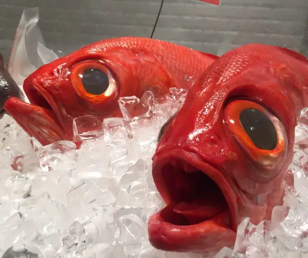 Emporium Shokuhin: The Latest Japanese Supermarket That Will Make Your Japan Hour Dreams Come True