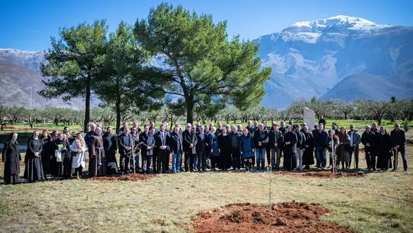 Rare Variety Unites Bosnia and Herzegovina in Olive Grove of Hope