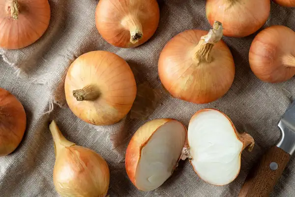 Onions will keep fresh for up to six months if stored in one common kitchen area