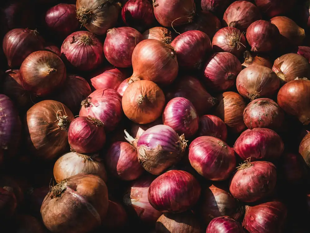 Nine techniques for perfectly cooked onions