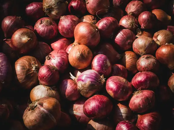 Nine techniques for perfectly cooked onions