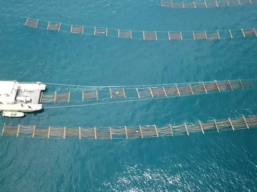 Asia dominates global aquaculture production but Europe still holds most of the VC investment: report