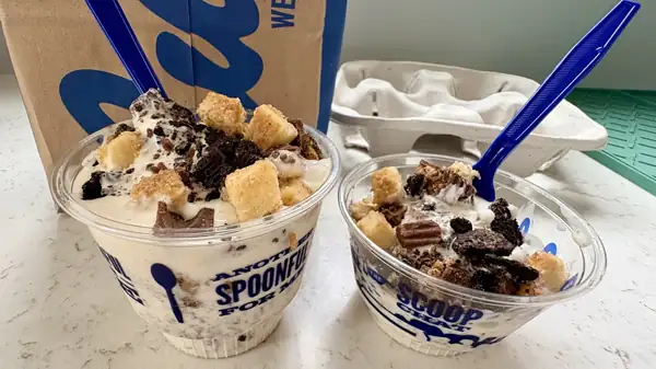 Culver's Oreo Reese's Cheesecake Review: Save Room For This Flavor Of The Day