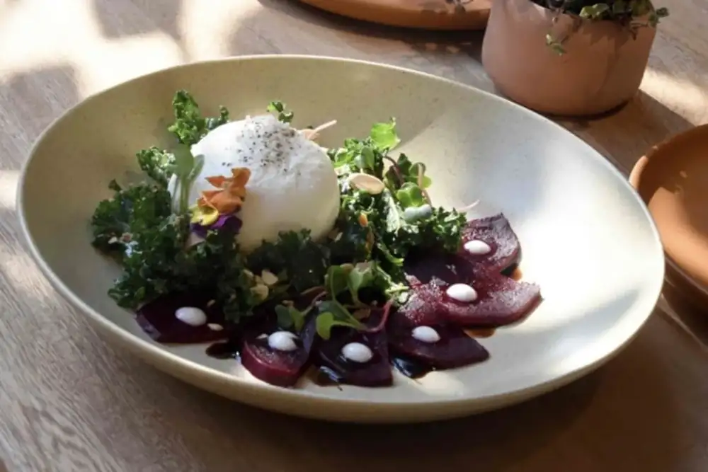 A sustainable proposal: new Local 777 Restaurant