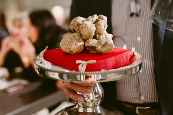 Alessandria looks to Milan to attract new tourists: the Le Vie del Gusto project