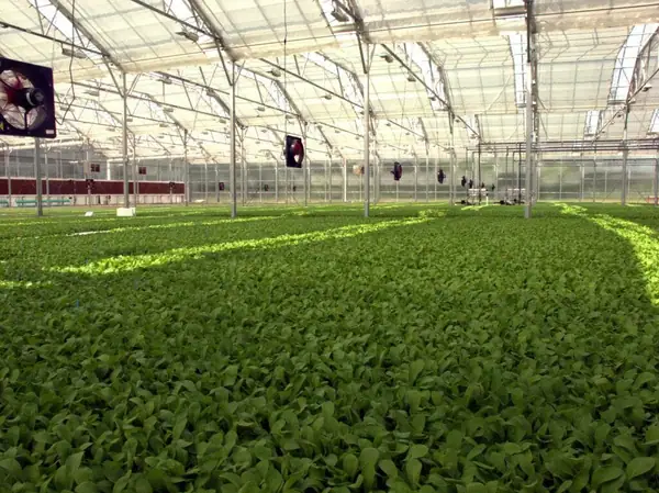 Earth Equity Farms se adjudica la ronda de financiación inicial