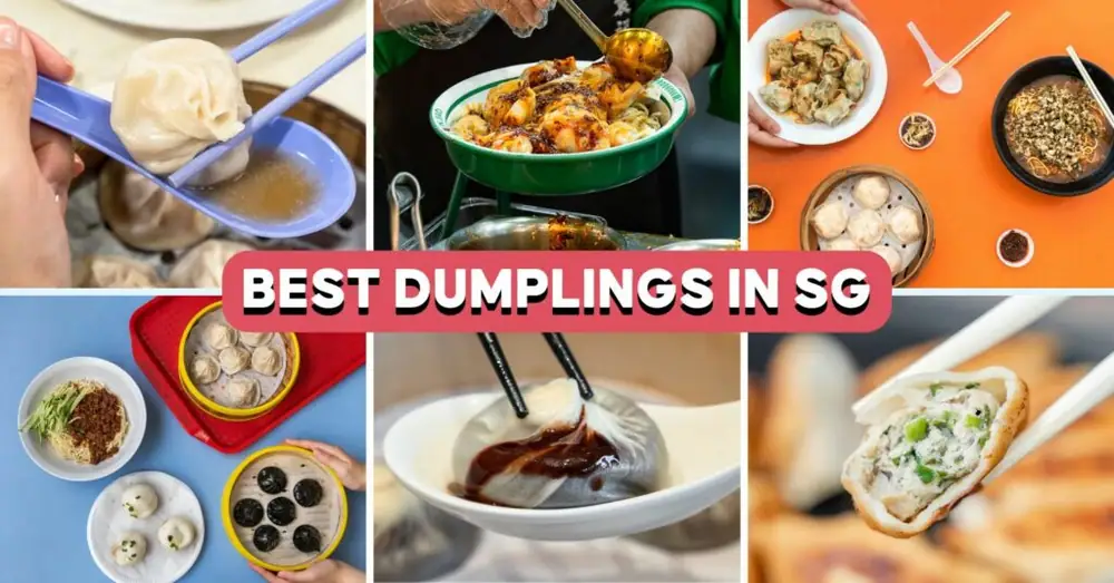 10 Best Dumplings In Singapore, Including A 78-Year-Old Stall