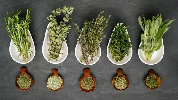 The Critical Herb Mistake That's Costing You Flavor