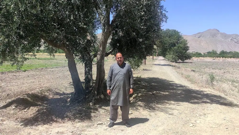 Pakistani Olive Oil Brand Makes History at World Competition
