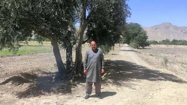 Pakistani Olive Oil Brand Makes History at World Competition