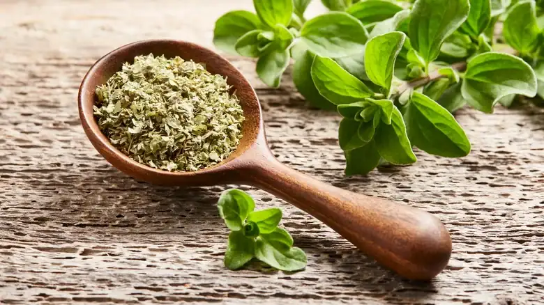 Why Ina Garten doesn't use fresh oregano