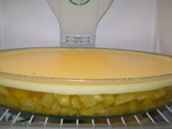 Pineapple ice cream