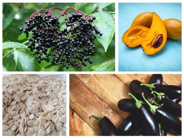 30 Exquisite Fruits Starting with E