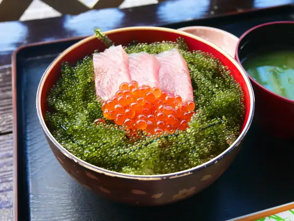 Green caviar, or sea grapes: the small luxury of the ocean