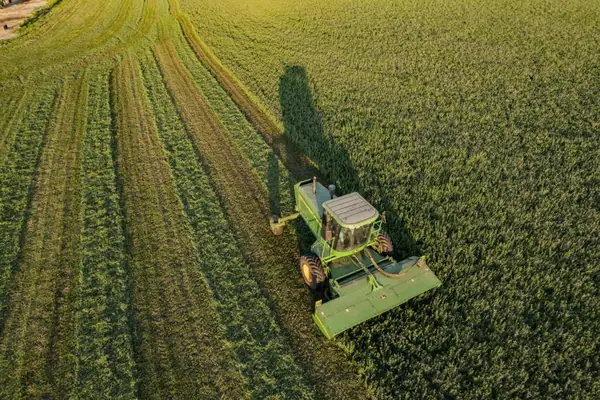 How agrifood corporates defined 'regenerative agriculture' in 2022