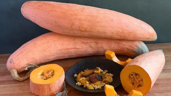 Candy Roaster Squash Gets Sweeter As It Stores