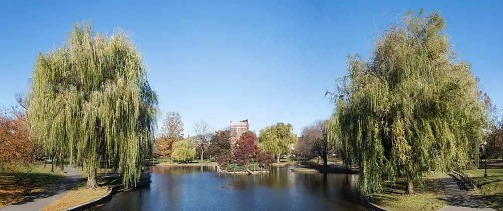 Meet Boston’s Must-Try Tea Party