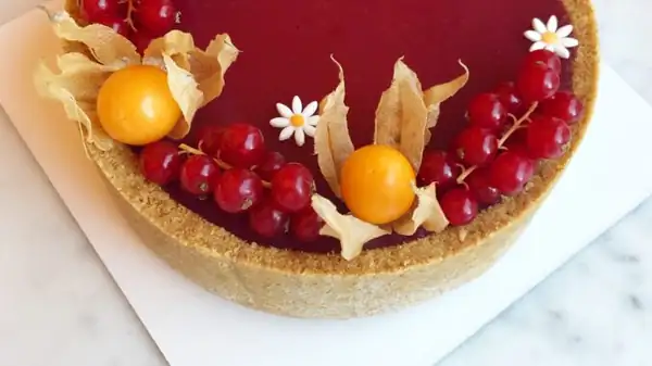 Fresh cheesecake: How to make it at home with Claudia Martelloni's recipe from Charlotte