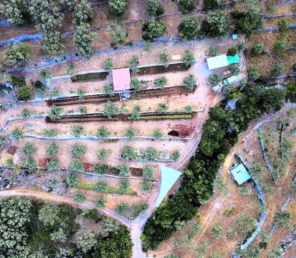 Award-Winning Olive Oil Anchors a Slower Way of Life on Lefkada