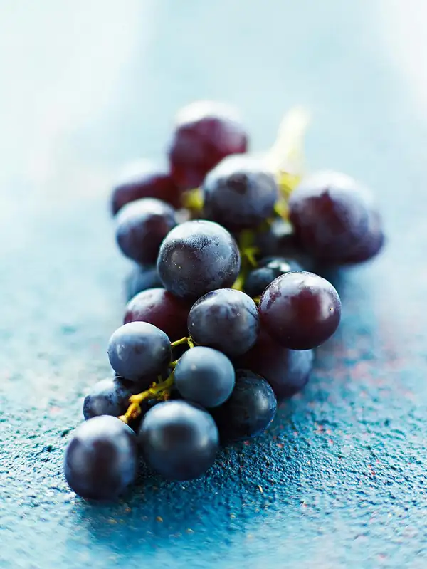 Grapes: Autumn in bunches