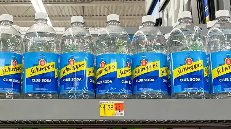The Kitchen Appliances You Should Always Clean With Club Soda