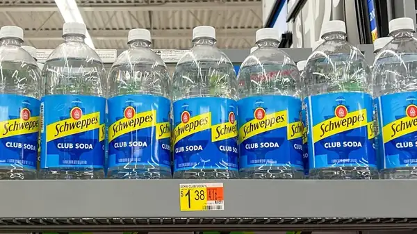 The Kitchen Appliances You Should Always Clean With Club Soda