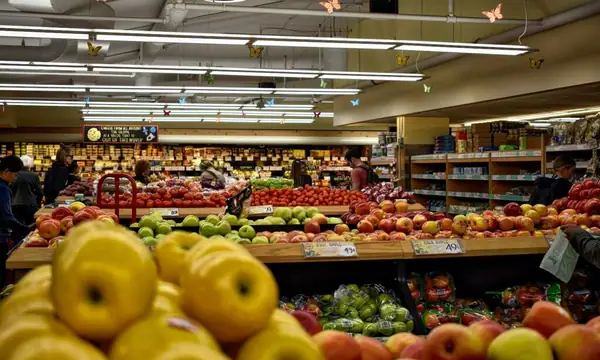 Building Bridges for Equitable Food Access Across the U.S.