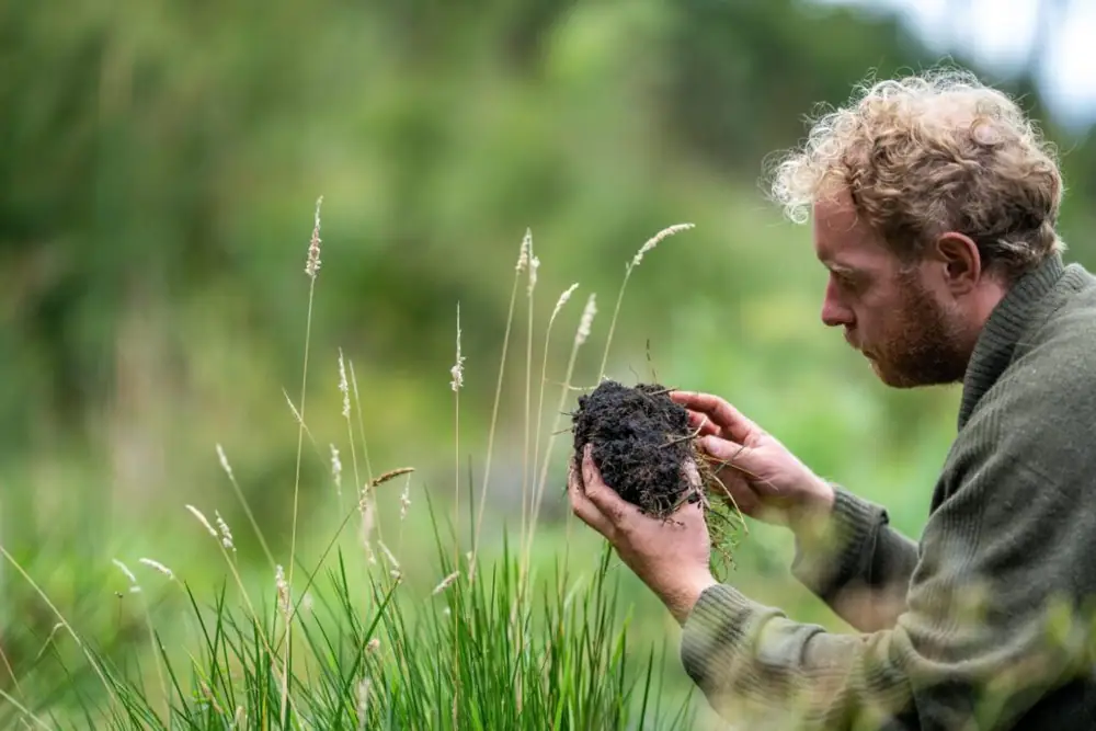 McDonald's, McCain and other corporates lead pilot to make regen farming 'feel more achievable'